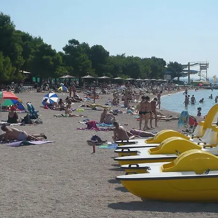 Boza Vodice
